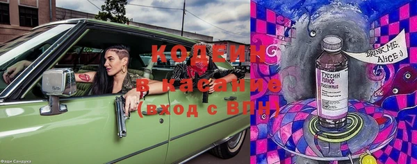 крисы Абаза