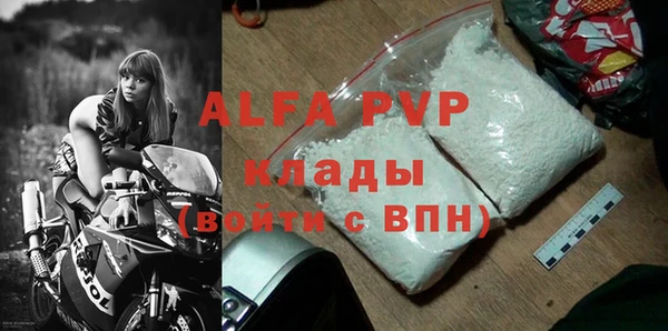 крисы Алзамай
