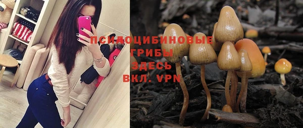 крисы Алзамай