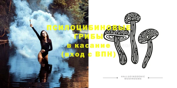 крисы Алзамай