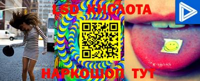 ГАЛЛЮЦИНОГЕННЫЕ ГРИБЫ Камышлов