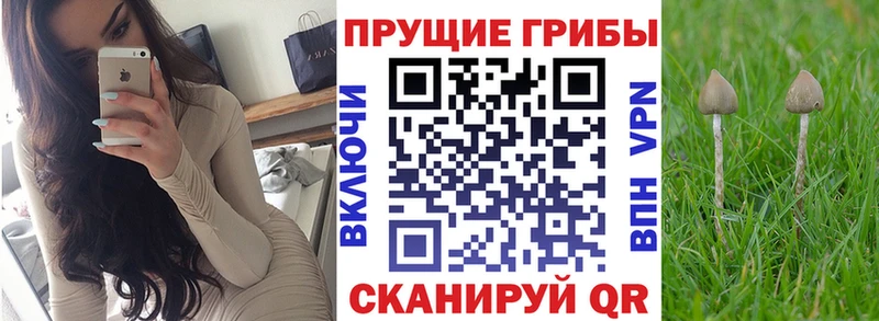 магазин продажи наркотиков  Красноуфимск  Галлюциногенные грибы GOLDEN TEACHER 