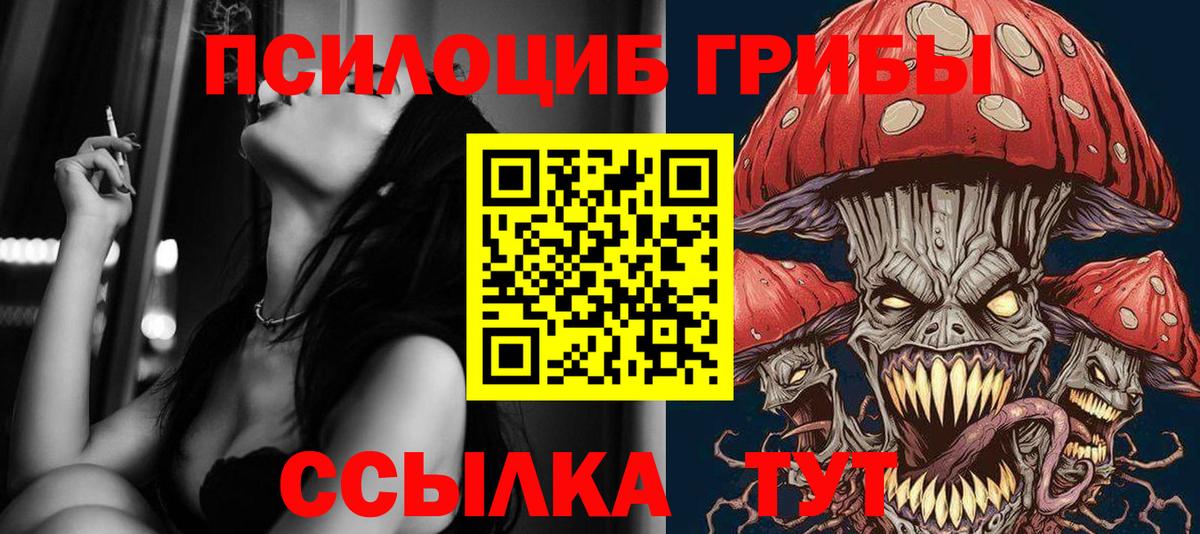 Псилоцибиновые грибы Psilocybine cubensis  Вход с VPN  Красноуфимск 